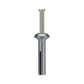 Simpson Strong-Tie ZN25200SS Zinc Nailon Pin Drive Anchor - 1/4 in. x 2 in. Stainless